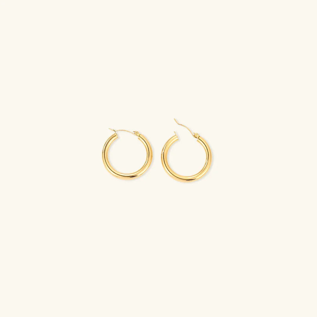 Women's Chunky Hoop Earrings Set - 3 Pairs - Hinged Closure