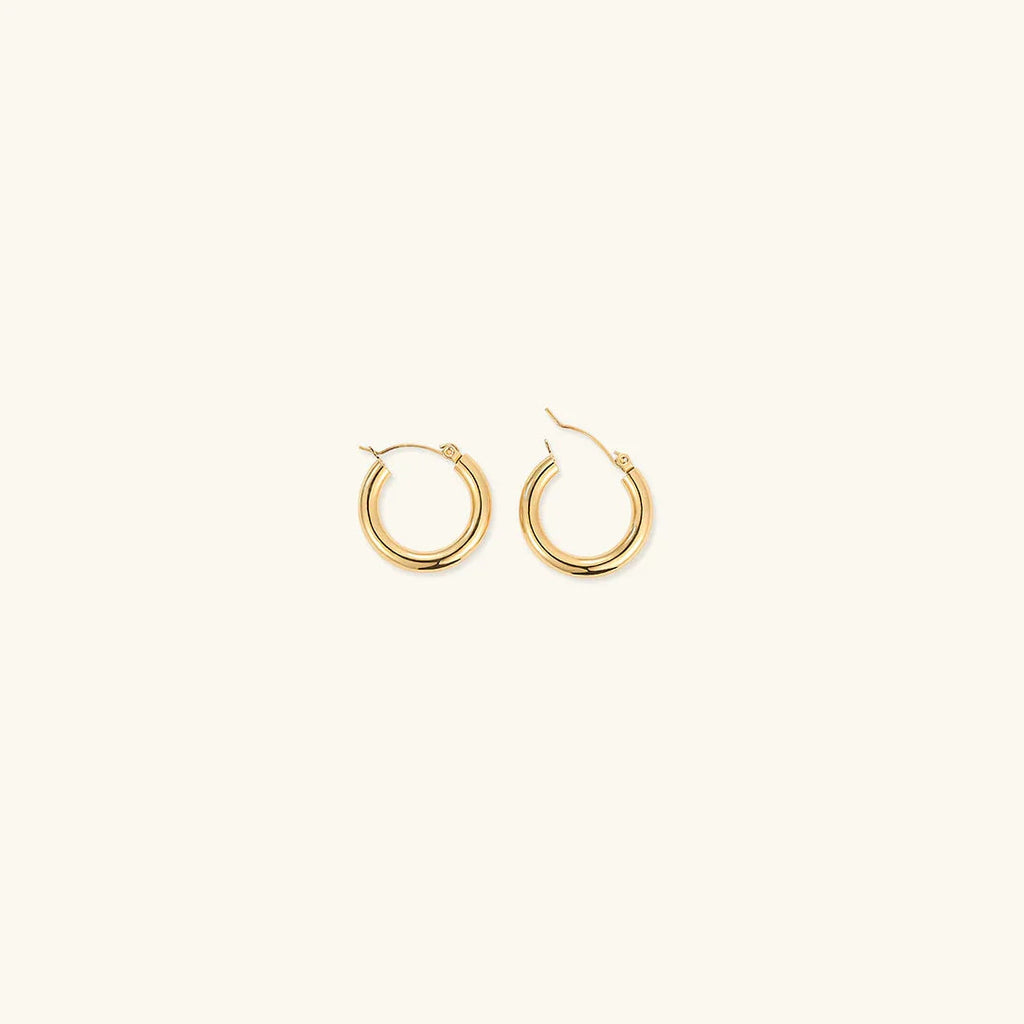Women's Chunky Hoop Earrings Set - 3 Pairs - Hinged Closure