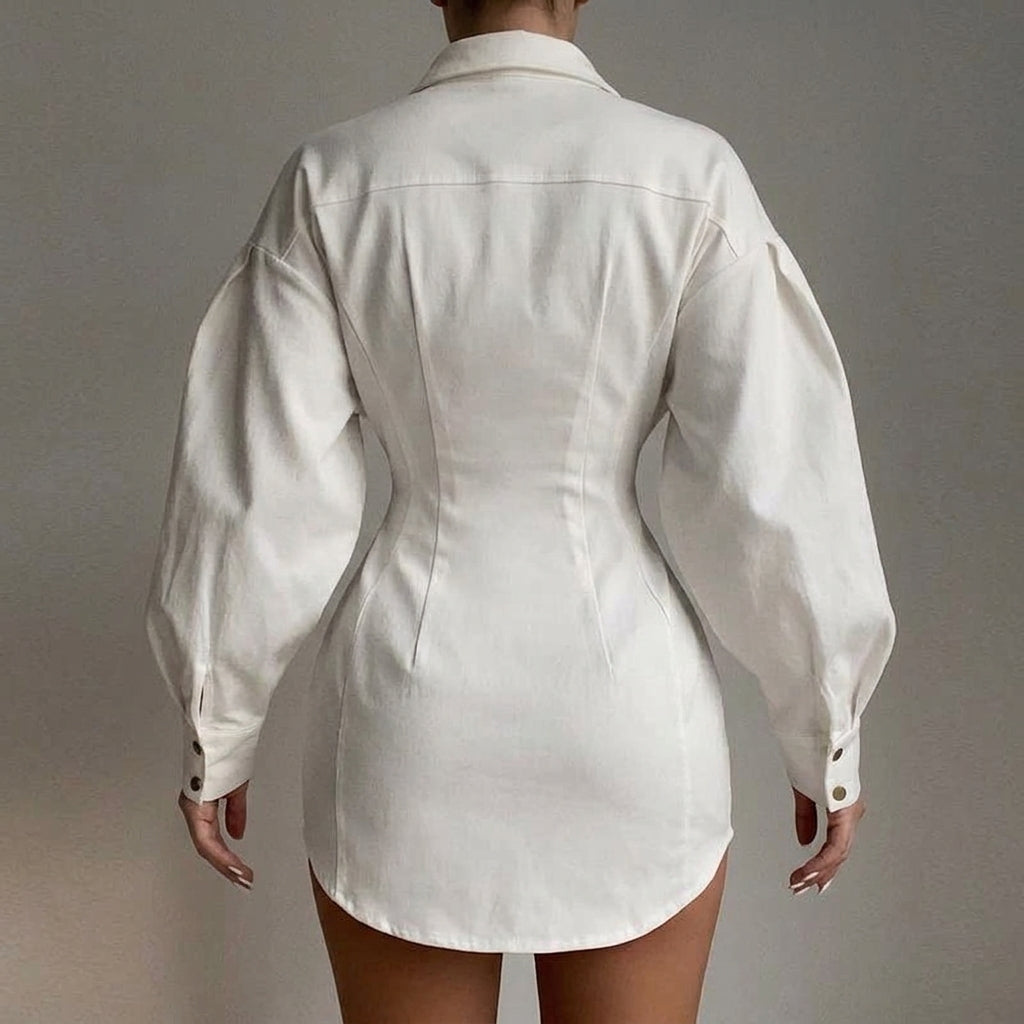 Women's Button Front Puff Sleeve Mini Dress - V Neck - Shirt Style